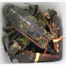 (주)박상 이미지