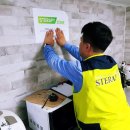 스테라피