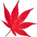 해오름요양원 이미지