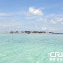 무릉도원 이미지