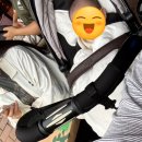 7480 | 던스 오픈런 후기 6개월0일차 아기 신상 돼지 /미니마더어스 7480배기셋 착샷 ❣️사이즈 팁&amp;리뷰