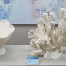 부산해양자연사박물관 이미지