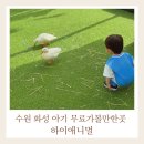 하이멍멍 | 화성 오산 아기랑 가볼만한곳 실내 하이애니멀 주말 방문후기