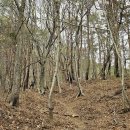 봉대마을회관 | 지리산둘레길 13구간 하동 대축마을-평사리동정호-대촌마을-윗재-원부춘마을 여행기록