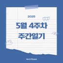 5월 4주 차 일상 기록.