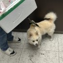 킹스꼬마김밥배곧신도시점 네이버블로그