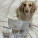 멍멍까까 이미지