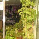 수원-0855 이미지