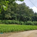 청정부동산중개인사무소 이미지