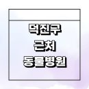 세병로 | 전주 덕진구 근처 동물병원 추천 정보 잘하는곳 가격 비용 중성화 고양이 수술 강아지 치료 후기 야간