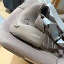 미카 | 신생아 카시트 목꺾임 막아주는 미카360프로 후기