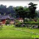 높은집 Daum카페