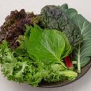 (주) 더드림유통 이미지