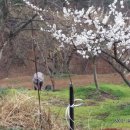 미현농장 이미지