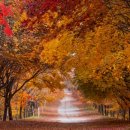 가을 단풍 여행떠나는 전국 단풍명산 BEST 7 이미지