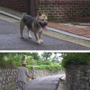 반야농장 이미지