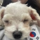 멍쉬멜로 네이버블로그