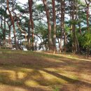 완도 고금도 관왕묘비 이미지