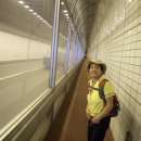 이화약국 이미지