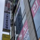 피알리아