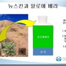 뉴스킨화장품판매 이미지