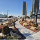 나성동광장 이미지