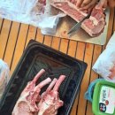 새소리 가득했던 친구들과 1박2일 상주보캠프존휴