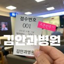 서울준동물병원 | [서울 영등포] 김안과병원: 진료시간 / 당일 예약 오픈런 1등한 후기