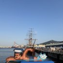 스키푸 | 부산항 축제 6월 가볼 만한 곳 2026 포트 빌리지 평일 주차 음식 솔직후기