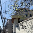 빈스로드 이미지