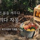 자몽마켓