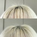 민감한 두피엔 어성초 샴푸? 3일 만에 진정시키는 봄비유 티트리 약산성 천연샴푸 리얼 후기
