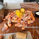 자매목장 이미지