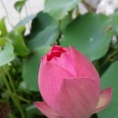 노원구청 이미지