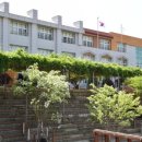 수원교육청 이미지