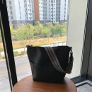 라이오니스 이미지