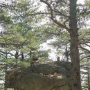 수도장 | 울산바위 뷰 화암사 성인대 신선대 등산 코스 주차 정보
