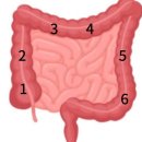 유용우한의원 | 소화안될때 스트레스받아서 산것
