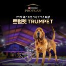 Pro켄넬 이미지