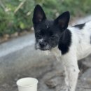 몽실몽실살롱 이미지