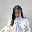 해브먼트 이미지