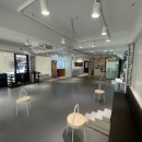 하이마이댕댕 이미지