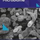 (주)바이옴 이미지