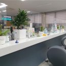 원주 중앙동 행정복지센터 이미지