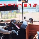 부여 백마강애서 이미지