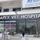 세우리동물병원 | 클락 한국인 동물병원 Apex Vet Hospital 후기