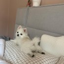 수원백화점약국 이미지