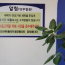 워시팡팡셀프빨래방단양점