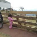 성우목장 이미지