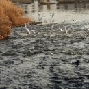 징검다리 도서관 이미지